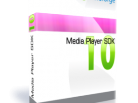 VisioForge Media Player SDK 10.0.31.0 D6-XE10.3